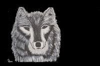 Ectoplasmic Wolf